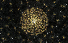 Фотообои одуванчик Factura FLOWERS SUNSHINE 3